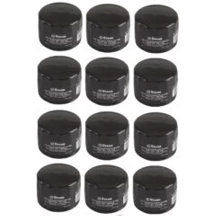 Briggs & Stratton Extended Life Series (Short) Oil Filter Set Of (12) 696854